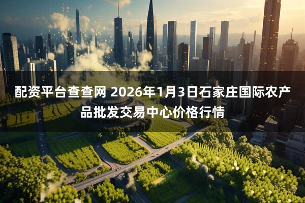 配资平台查查网 2026年1月3日石家庄国际农产品批发交易中心价格行情