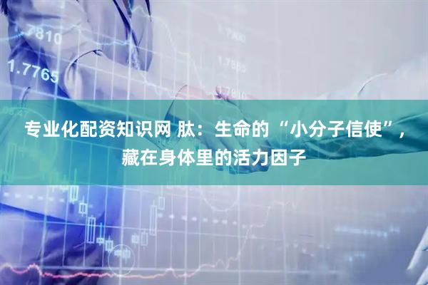 专业化配资知识网 肽：生命的 “小分子信使”，藏在身体里的活力因子
